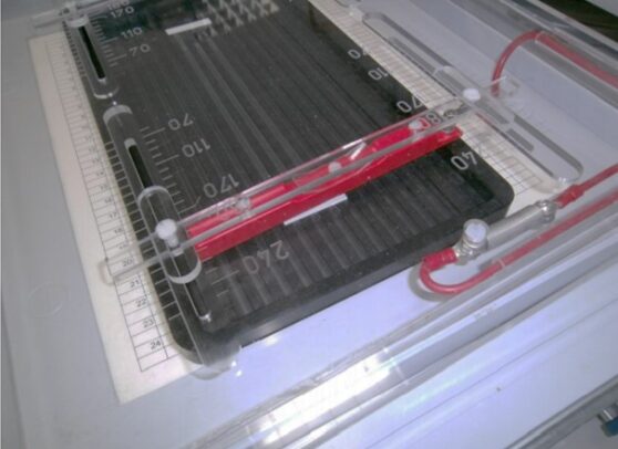 SERVA HPE™ BlueHorizon™ - Horizontales Flachbettsystem für ...